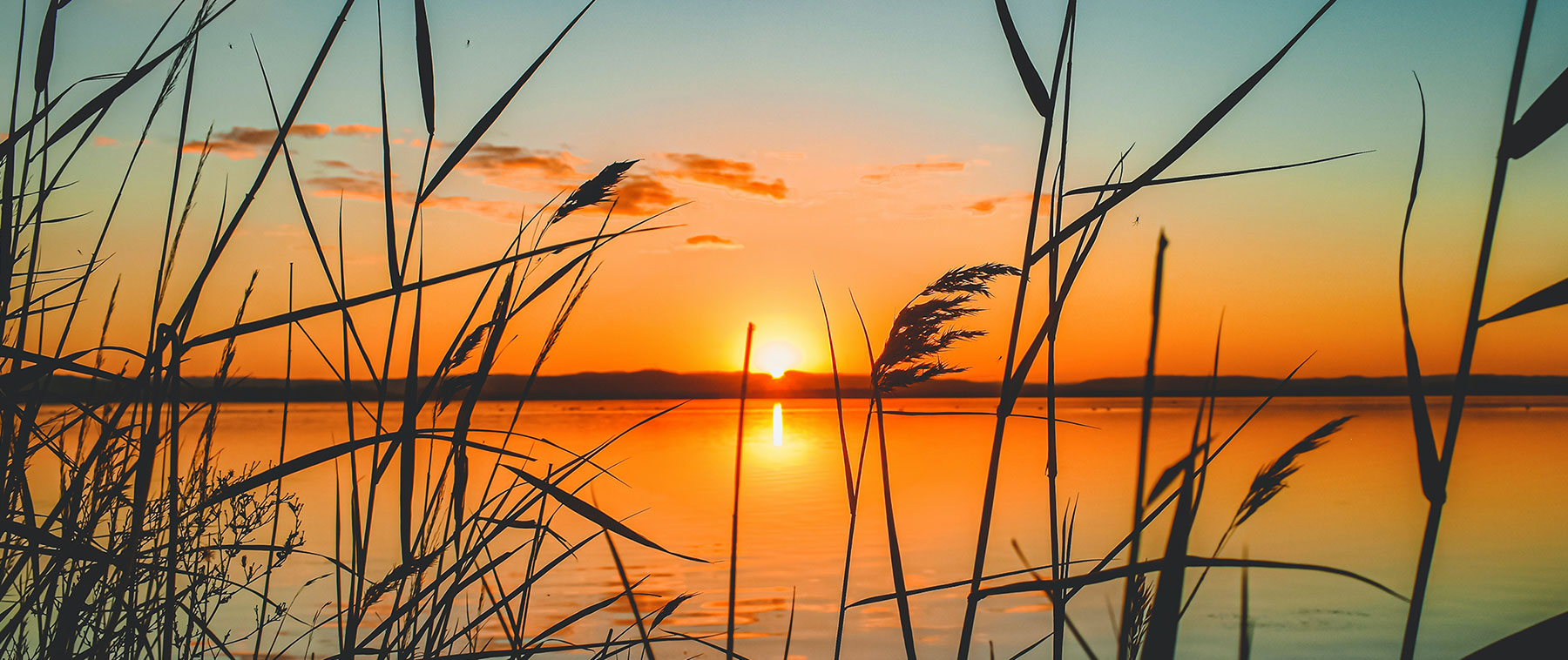 Largest Michigan inland lakes